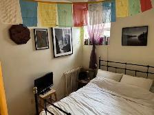 Small Cozy Single Occupancy 1 bedroom apartment steps to subway - Photo 2