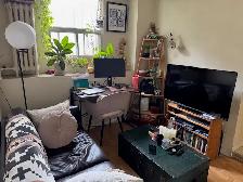 Small Cozy Single Occupancy 1 bedroom apartment steps to subway - Photo 5