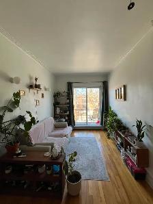 3 1/2  OUVERT - À LOUER 895 $ NON CHAUFFÉ Semi-meublé