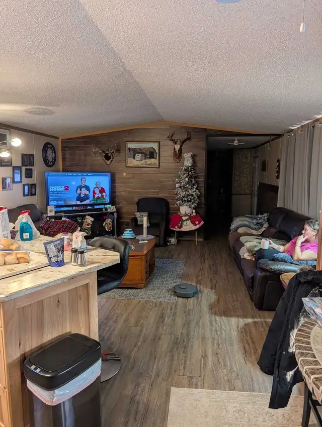 Mobile Home - Photo 4