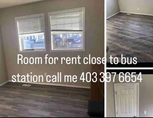 room For Rent