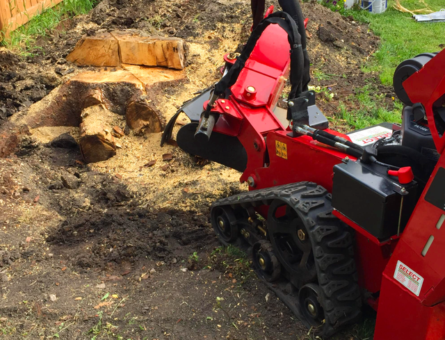 STUMP GRINDER & Vanishing Trees