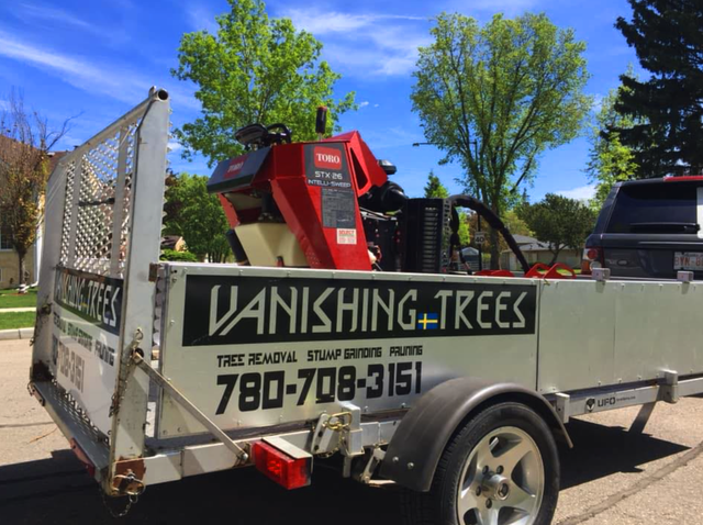 STUMP GRINDER & Vanishing Trees - Photo 2