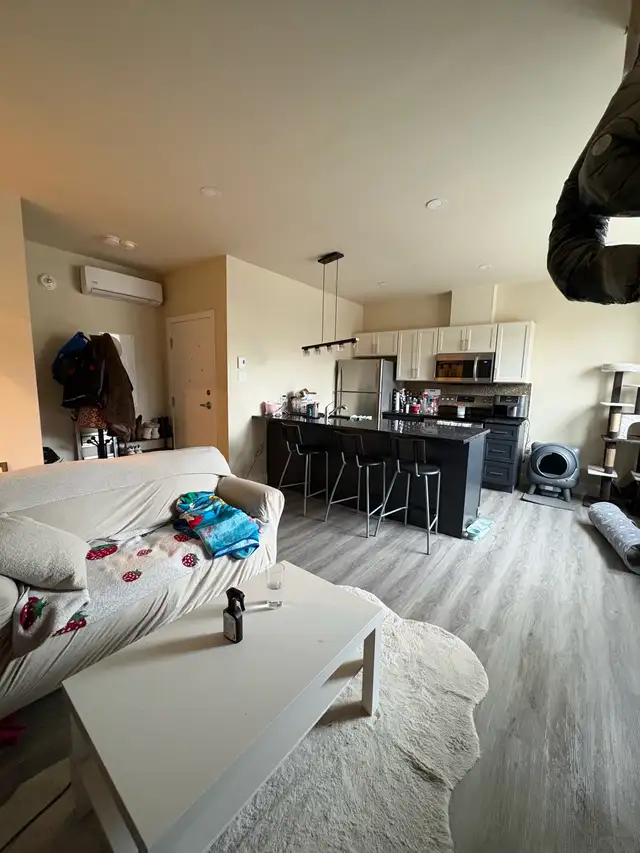Studios: 995$/mois et 1049$/mois - A Greenfield Park - Rive Sud - Photo 5