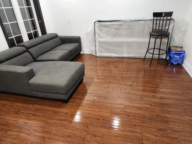 Detailed house cleaner