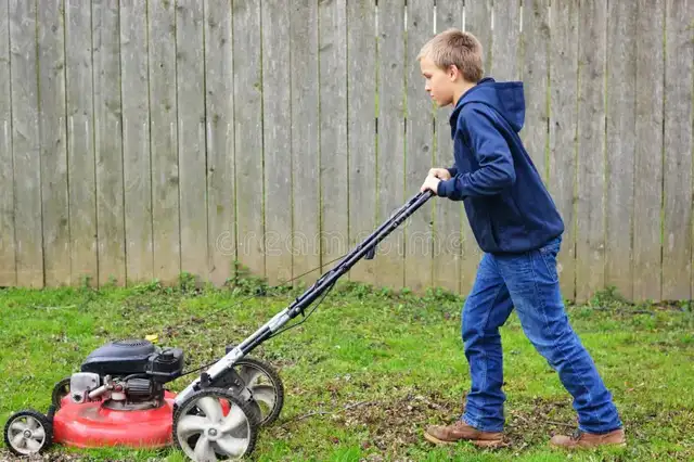FREE LAWN MOWS