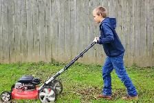 FREE LAWN MOWS