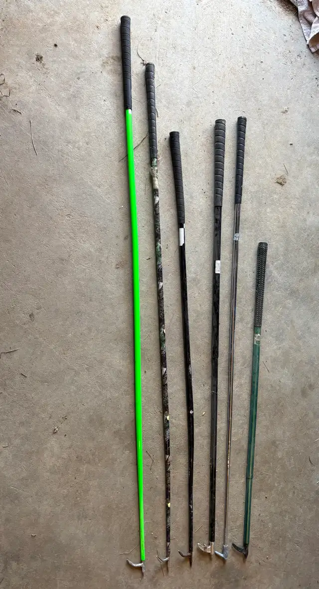 cattle show supplies - Photo 3