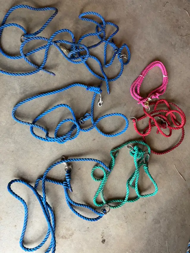cattle show supplies - Photo 4