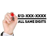 613-XXX-XXXX Memorable easy to remembering business Vip numbers