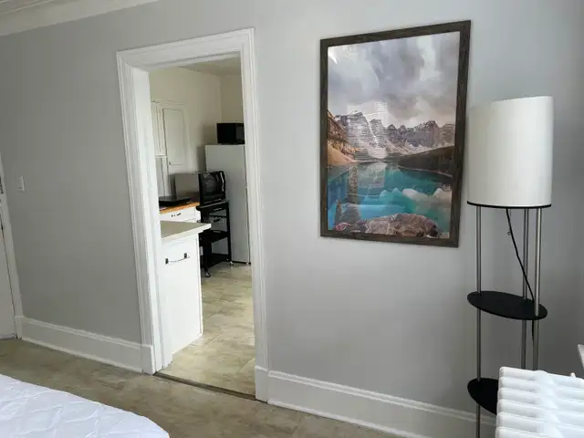 Bright, Clean, Stylish Fully Furnished Bachelor Unit for Rent - Photo 6