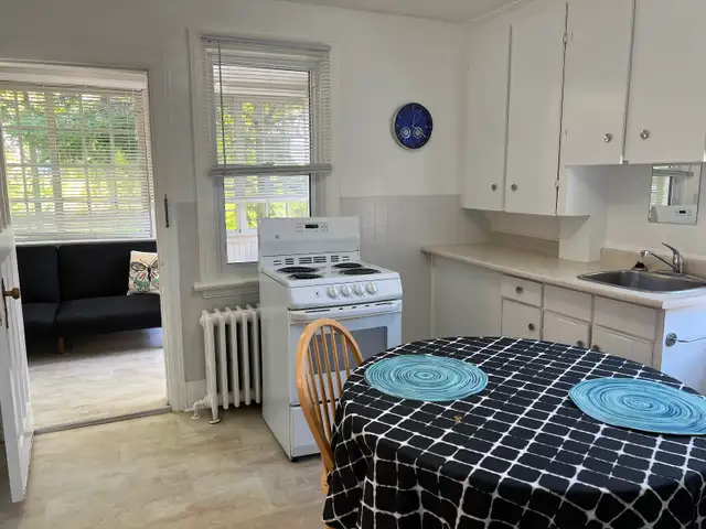 Bright, Clean, Stylish Fully Furnished Bachor Aot with Sunporch - Photo 5