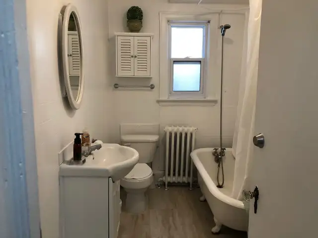 Bright, Clean, Stylish Fully Furnished Bachor Aot with Sunporch - Photo 8