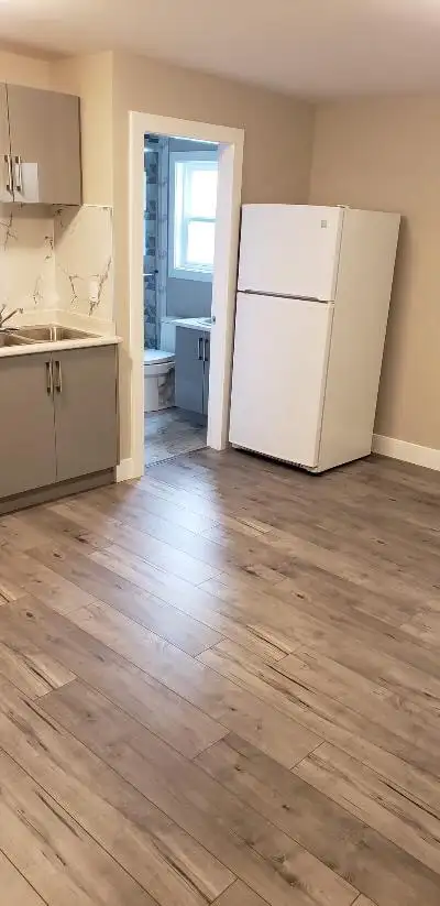 $1300 - Ground Level Bachelor Suite (Studio) for Rent (Surrey) - Photo 3