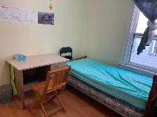 Walk to University, The Room for rent