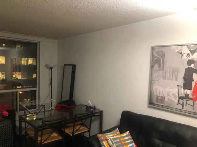 Furnished Room for Rent - Mater Bedroom - Downtown Toronto - Photo 3