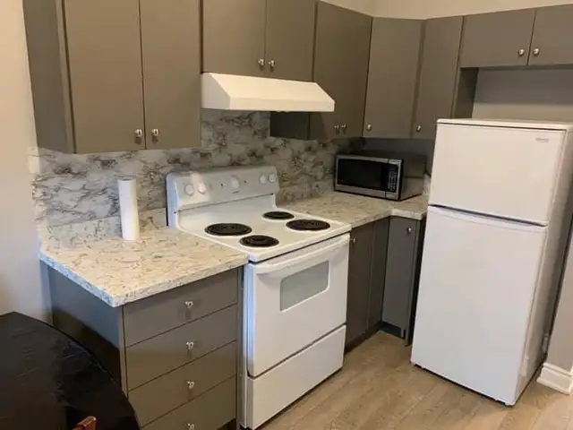 BASEMENT APARTMENT FOR RENT FROM MAY 1ST - Photo 3