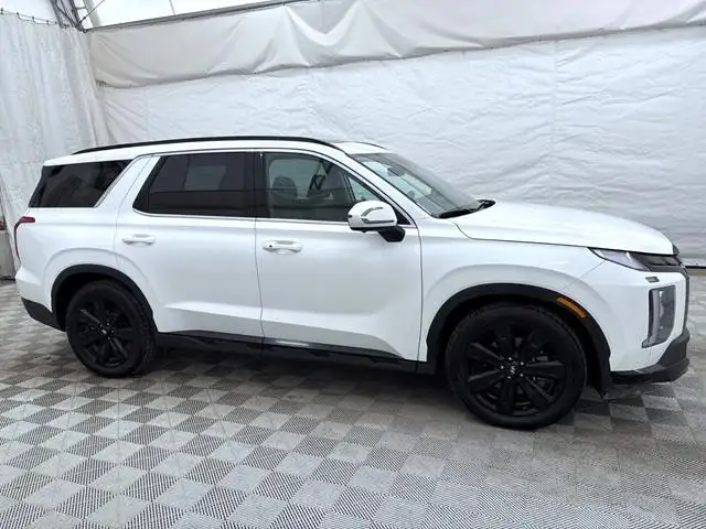 2024 Hyundai Palisade - Photo 3