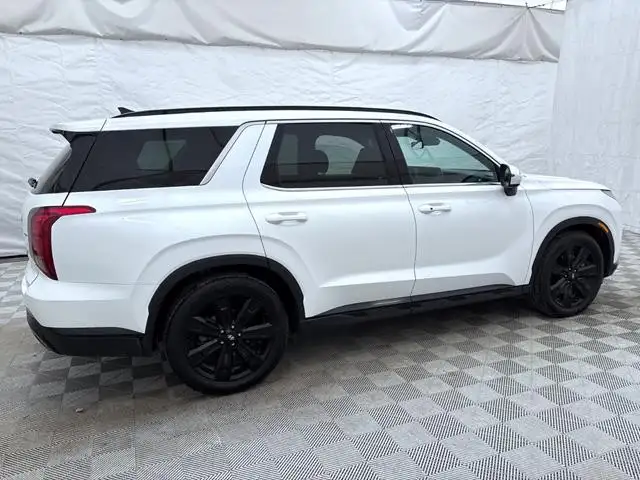 2024 Hyundai Palisade - Photo 4