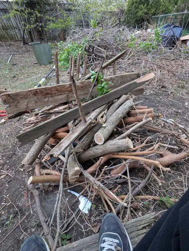 free fire wood