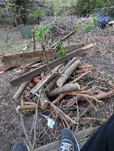 free fire wood