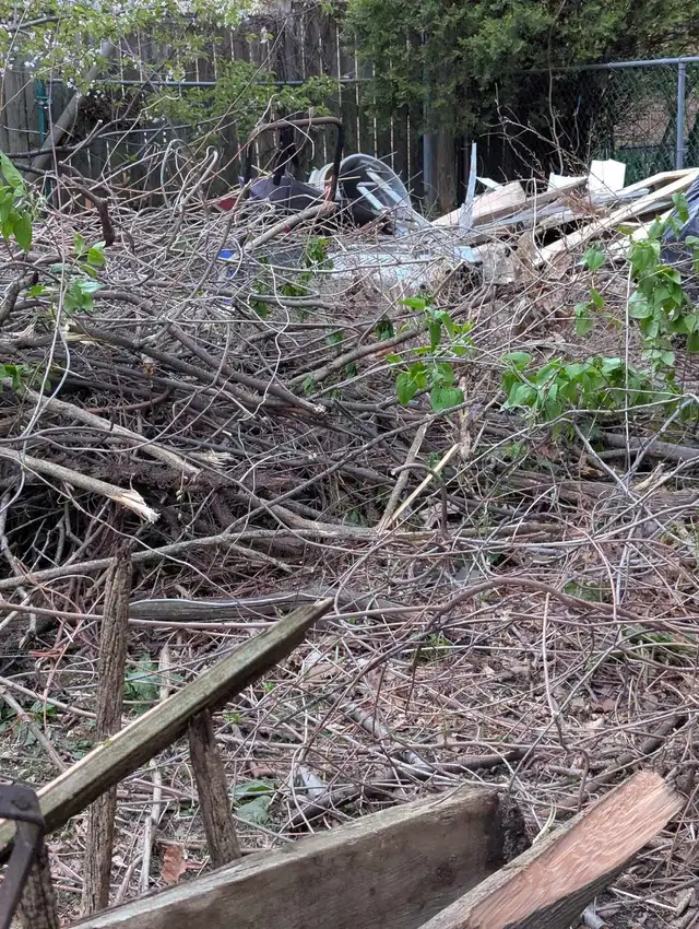 free fire wood - Photo 2