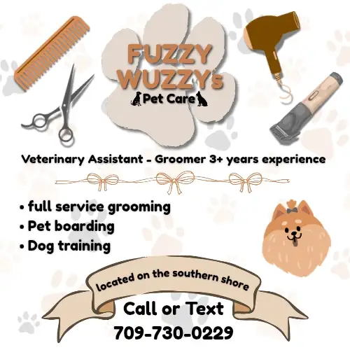 Pet Care Services - Southren Shore