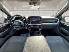 2021 Ford F-150 XLT 4WD SuperCrew 6.5' Box - Photo 6