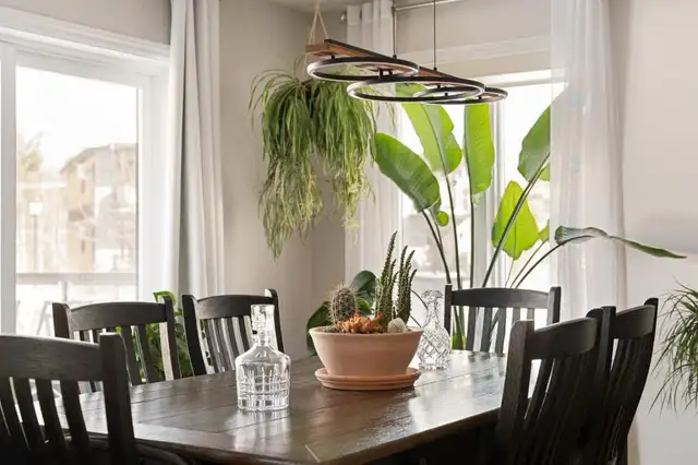 Condo 4 1/2 à louer pour le 1er juillet 2026 - Photo 4