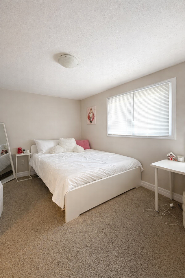 3 Bedrooms Available in an Immaculate All Female Student Home! - Photo 6