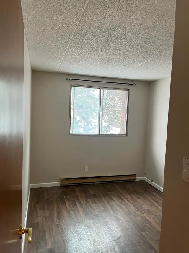 River Heights Large 2BR Condo |  Pool |  Parking Included - Photo 5