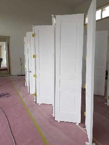 Pro Painter - Photo 6