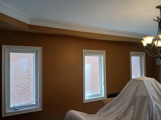 Pro Painter - Photo 9