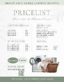 Mobile Laundry For Seniors - Photo 3