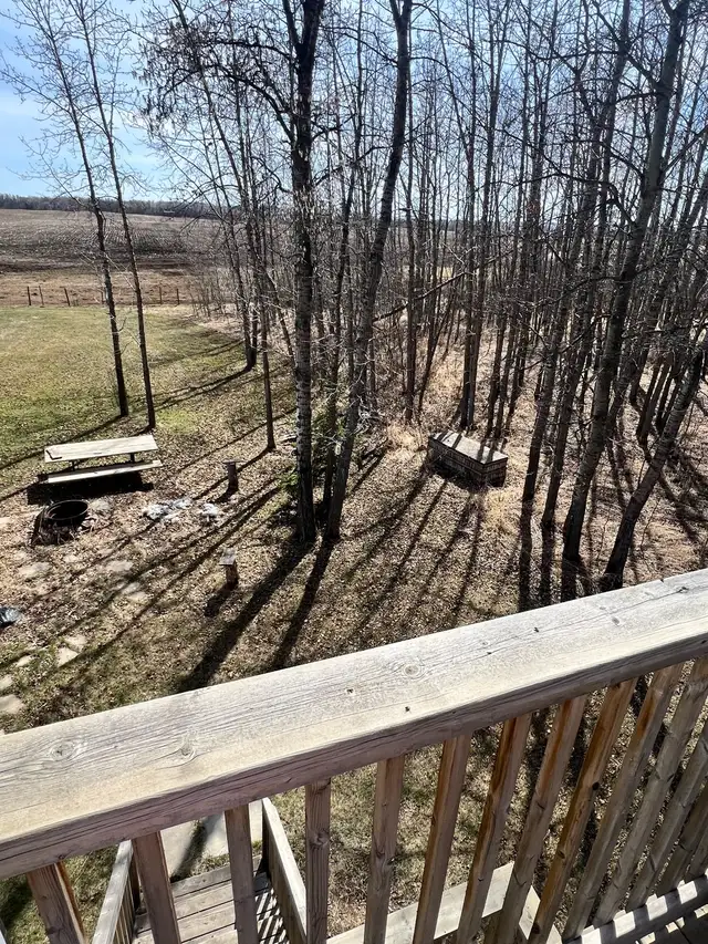 acreage for rent - Photo 3