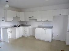 41/2. Longueuil (St-Hubert)  sous-sol .  1225$ par mois.