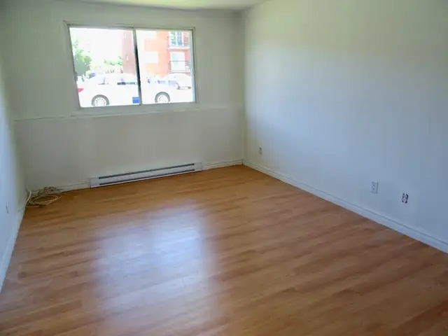 41/2. Longueuil (St-Hubert)  sous-sol .  1225$ par mois. - Photo 5