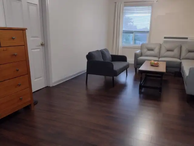 2 bedroom 2 bathroom apaartment downtown Kingston