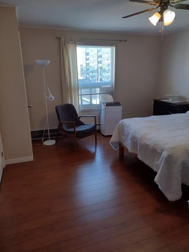 2 bedroom 2 bathroom apaartment downtown Kingston - Photo 2