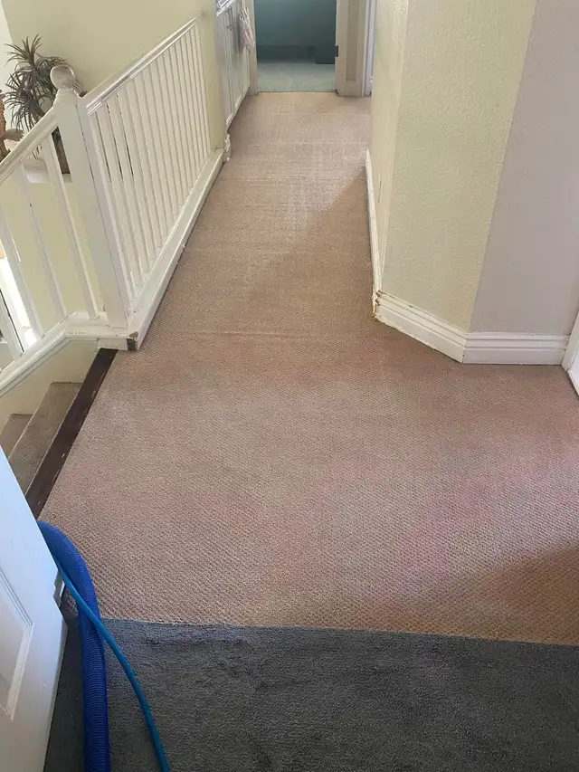 Professional Carpet And Sofa Cleaning In Affordable Price - Photo 2