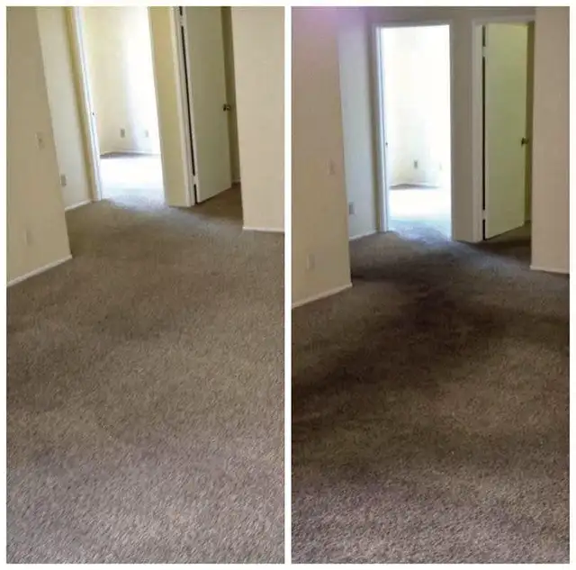 Professional Carpet And Sofa Cleaning In Affordable Price - Photo 3