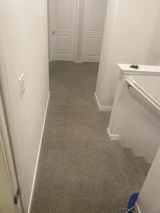 Professional Carpet And Sofa Cleaning In Affordable Price - Photo 6