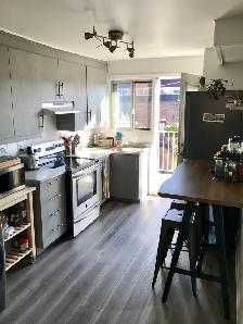 4 1/2 à louer Rosemont/Petite-Patrie