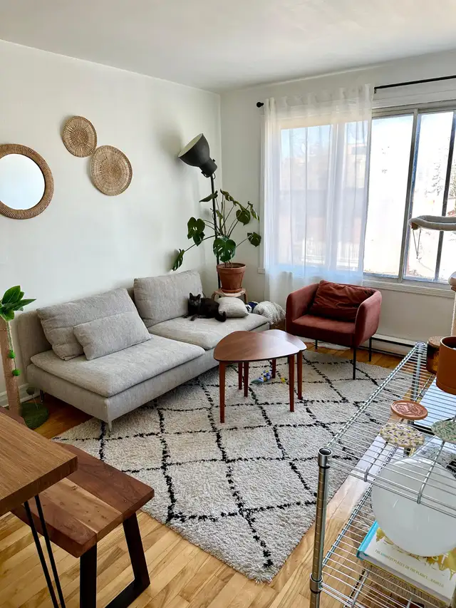 4 1/2 à louer Rosemont/Petite-Patrie - Photo 3