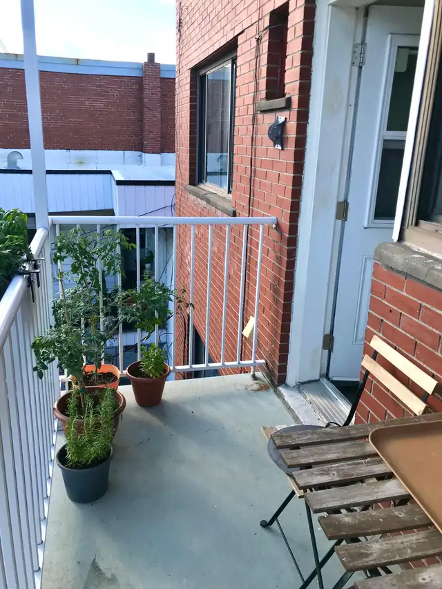 4 1/2 à louer Rosemont/Petite-Patrie - Photo 8