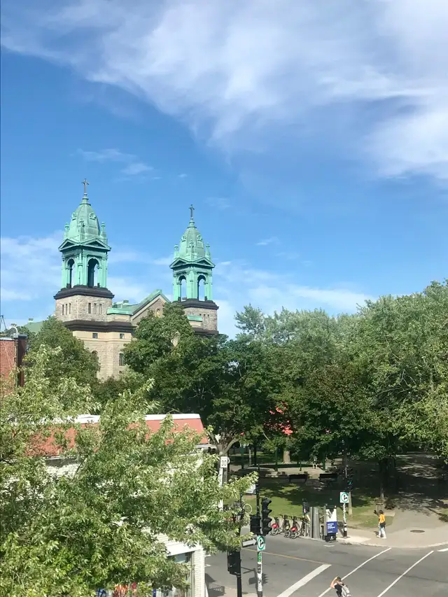 4 1/2 à louer Rosemont/Petite-Patrie - Photo 9