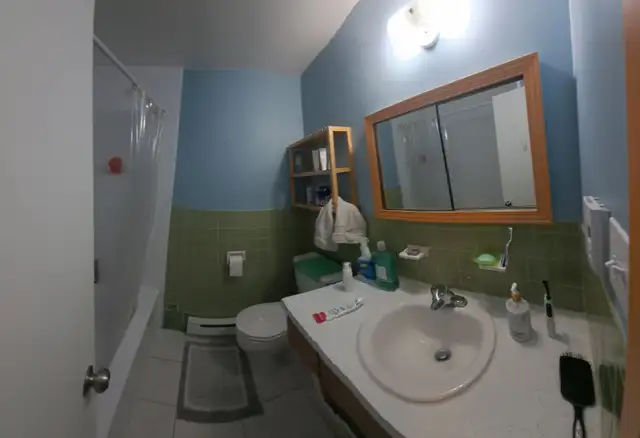 4 1/2 for Rent in Lasalle - Photo 6