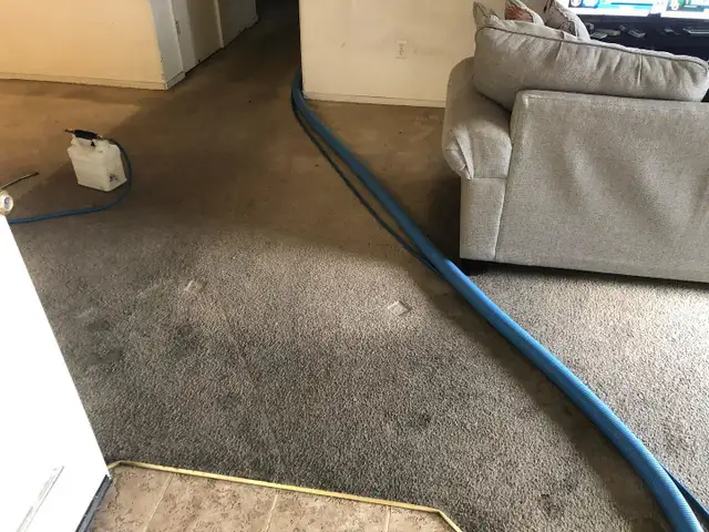 Sofa & Carpet Cleaning With Advance Method In Affordable Price - Photo 2