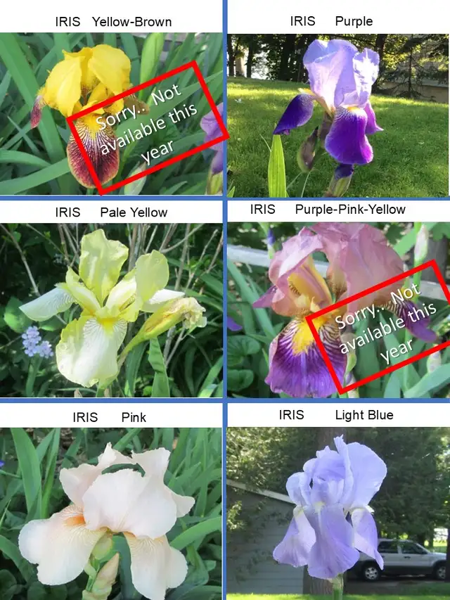 EARLY NOTICE - PLANT SALE - MAY 16 & 17