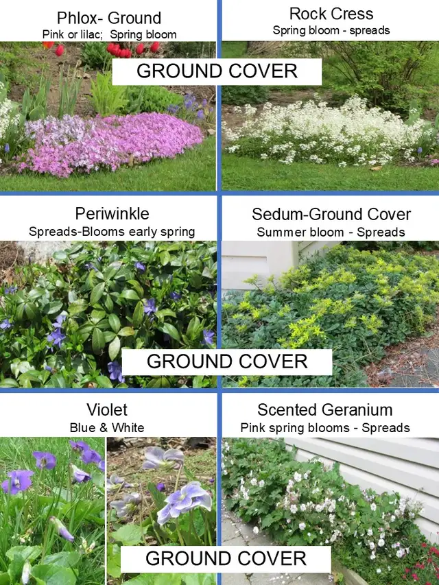 EARLY NOTICE - PLANT SALE - MAY 16 & 17 - Photo 2